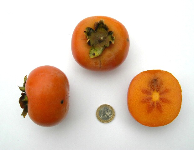Diospyros kaki : vari�t� de type PCNA