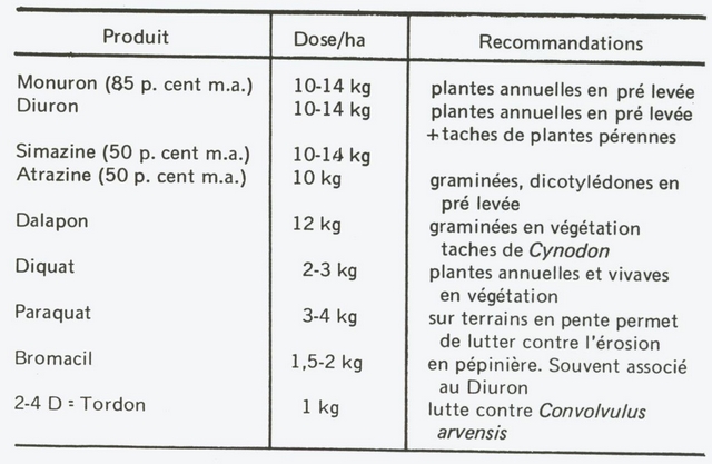 L'agrumiculture en Géorgie : tableau 3