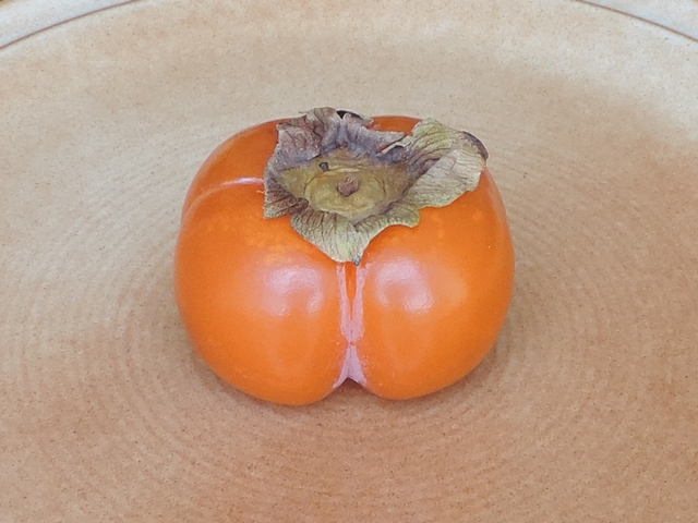 Diospyros kaki : fruit SHARON (stade orange), d�congel� apr�s 6 mois au cong�lateur, et essuy�.