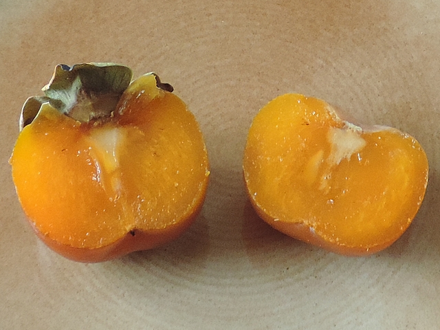 Diospyros kaki : int�rieur d'un fruit SHARON initialement jaune d�congel� (apr�s 4 mois au cong�lateur).