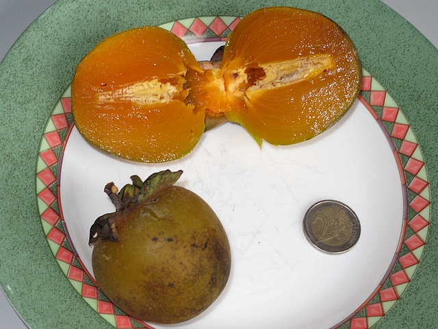 Diospyros Roxburghii : fruits mûrs