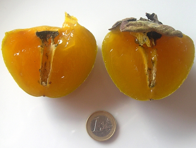 Diospyros Roxburghii (Plaqueminier à fruits verts) : intérieur du fruit mûr