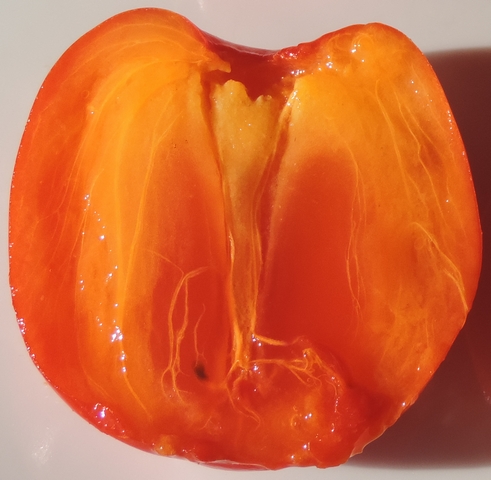 Diospyros kaki Thunb. : intérieur d'un fruit blet.