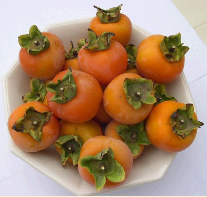 Diospyros kaki 'Farmacista Cicilia' : coupe de fruits m�rs