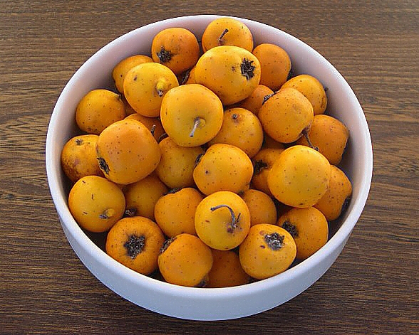 Manzanille : fruits m�rs.