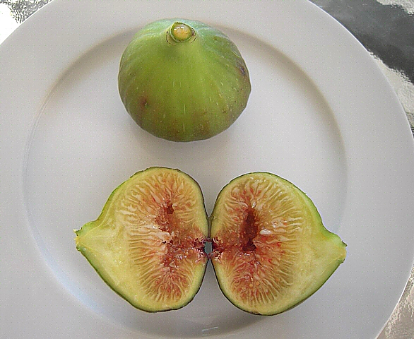 Ficus carica : figues m�res ouvertes