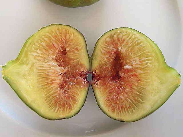 Ficus carica : int�rieur de figues m�res