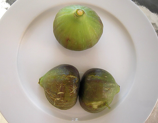 Ficus carica : figues m�res