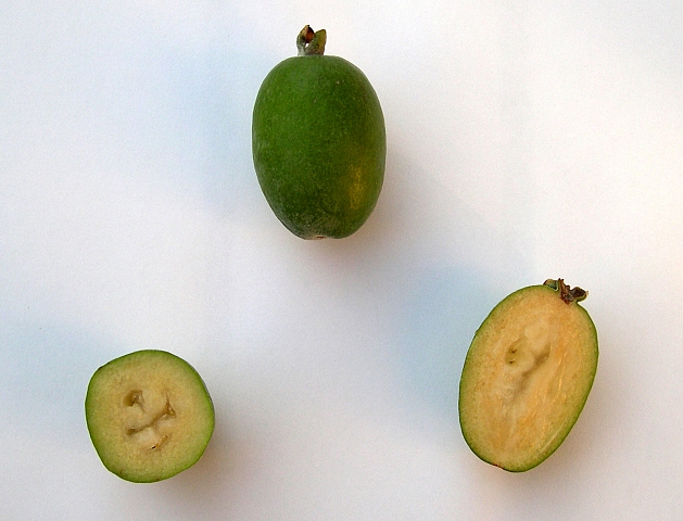 Acca sellowiana (Feijoa) : pulpe du fruit m�r