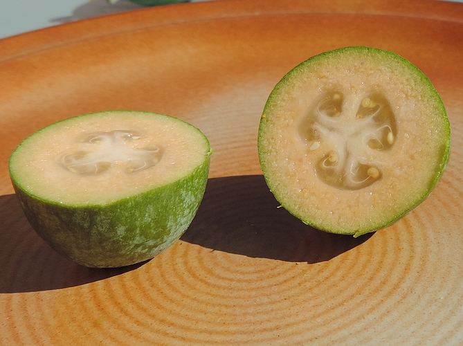 Acca sellowiana (Feijoa) : coupe transversale du fruit m�r.