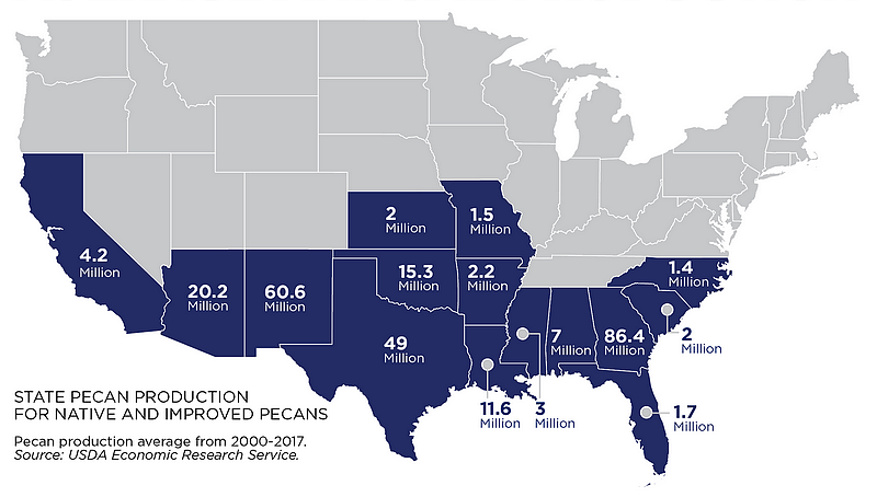 Carte des états producteurs de noix de pécan (vergers commerciaux) aux Etats-Unis.